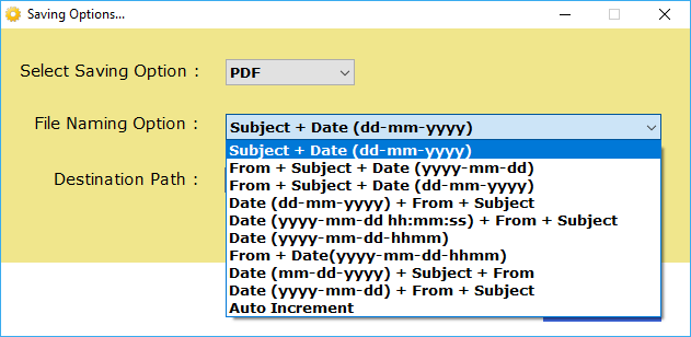 File naming option