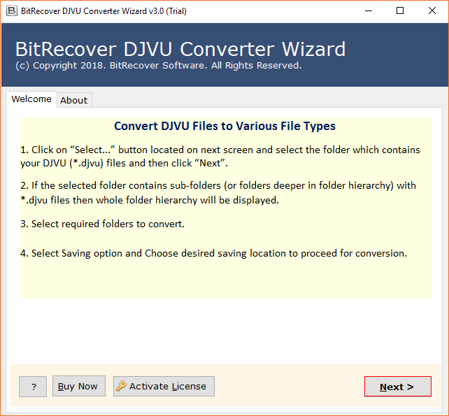 Convert DjVu to Word File